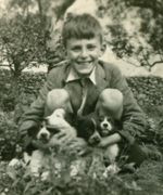 A smiling Joss is pictured with Collie puppies at Middle Row. But behind the smile there was the constant pain of his back injury.