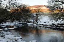 The River Greta in winter