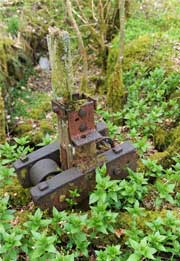 The old sluice gate