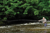 Fly fishing 