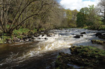 The River Greta